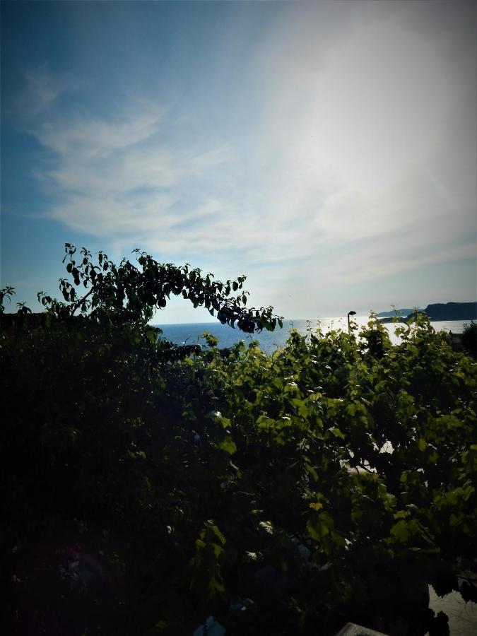 Vila Teodora Sveti Stefan Kültér fotó